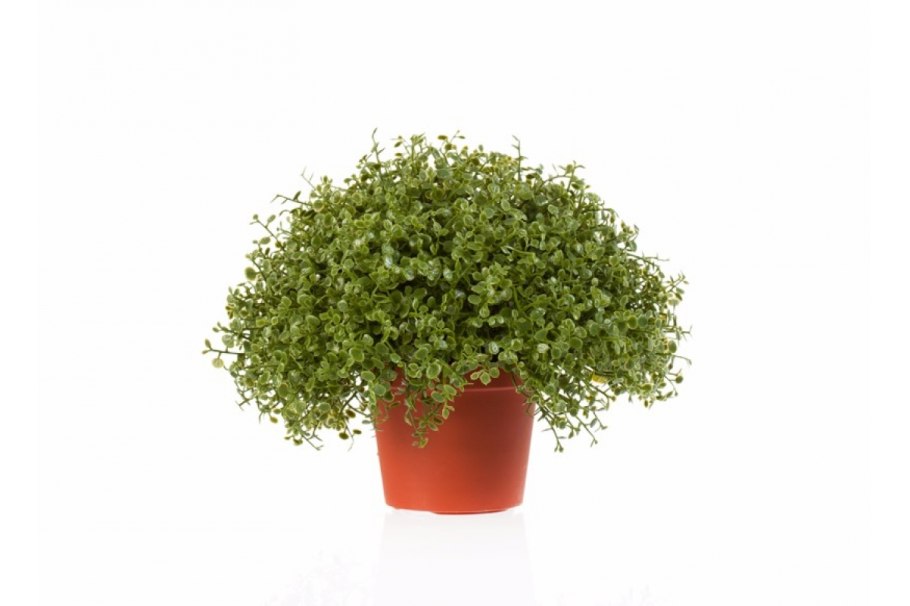 Креативные цветочные горшки