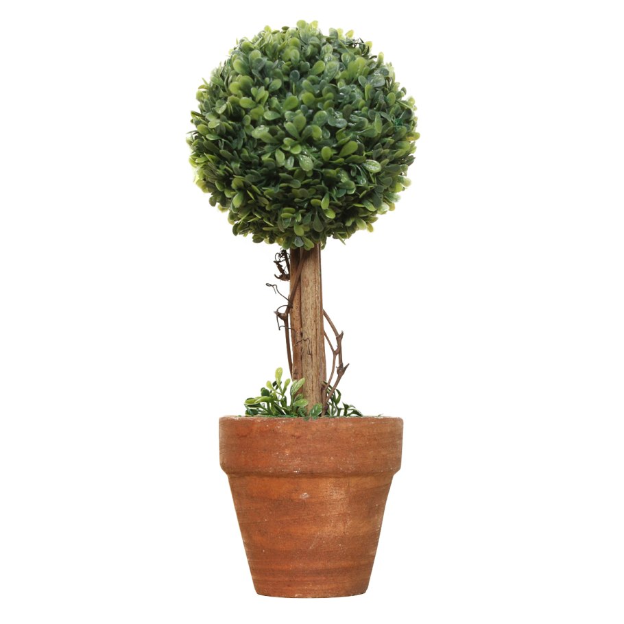 Хризантема мультифлора в горшке