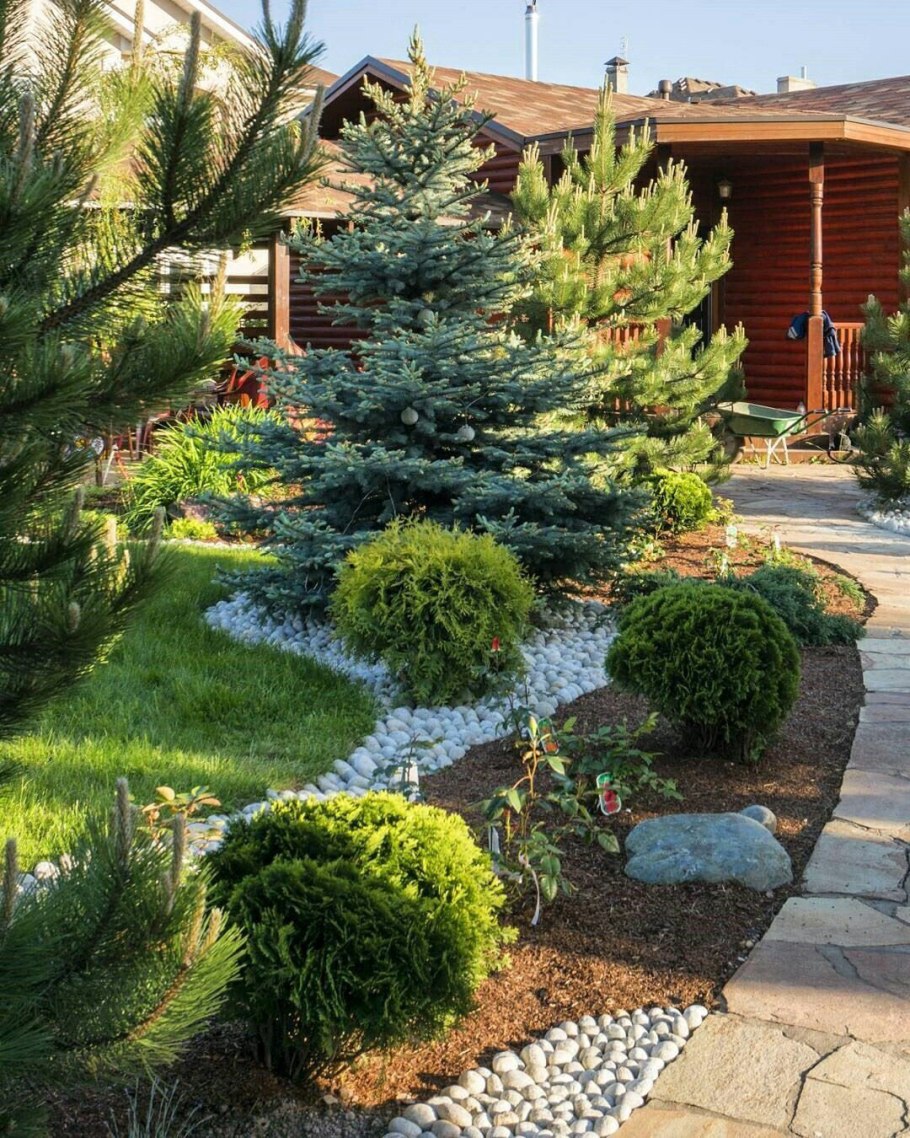 Лесной массив landshaft