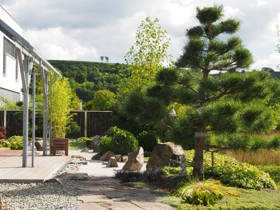 Наиль Купер ландшафтный дизайнер