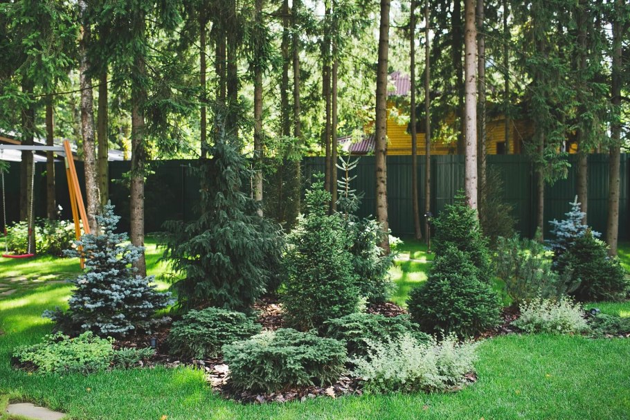 Северное поместье ландшафт