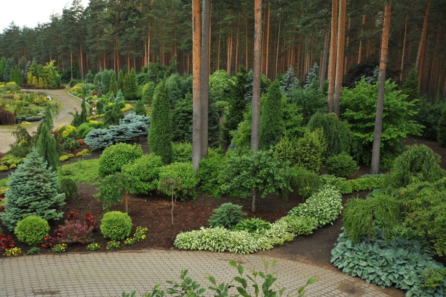 Можжевельник казацкий альпинарий