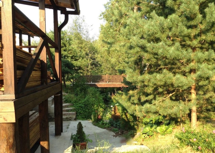 Ландшафт участка с соснами