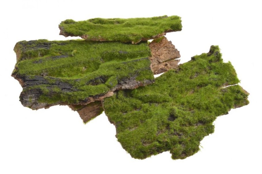 Кора березы