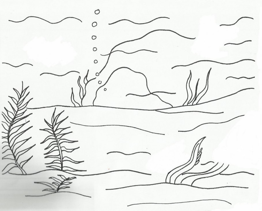 Морское дно раскраска для малышей