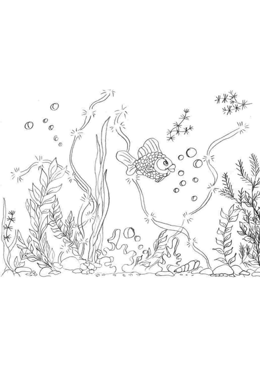 Рыбка с водорослями раскраска