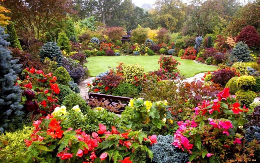 Осенний букет астры Дубки