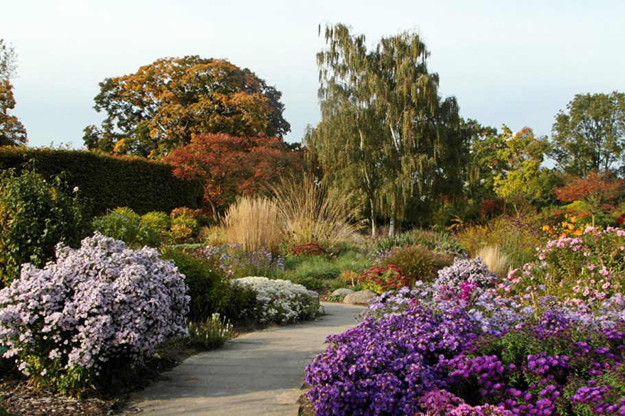 Парк Бельвиль кустарники