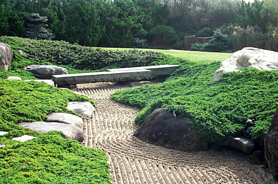 Мшанка почвопокровные многолетники