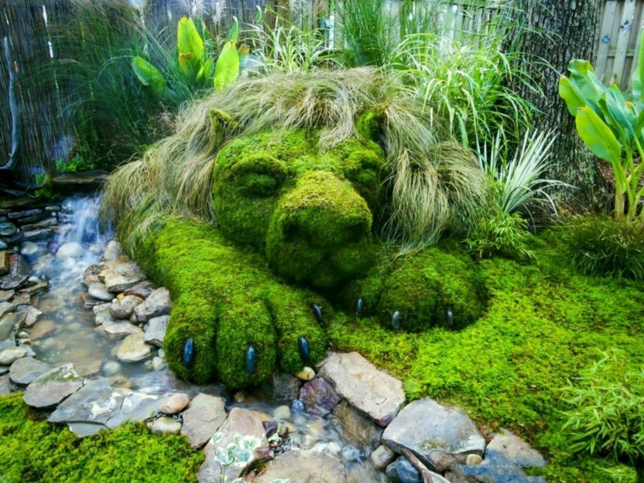 Сад мхов Мшанка