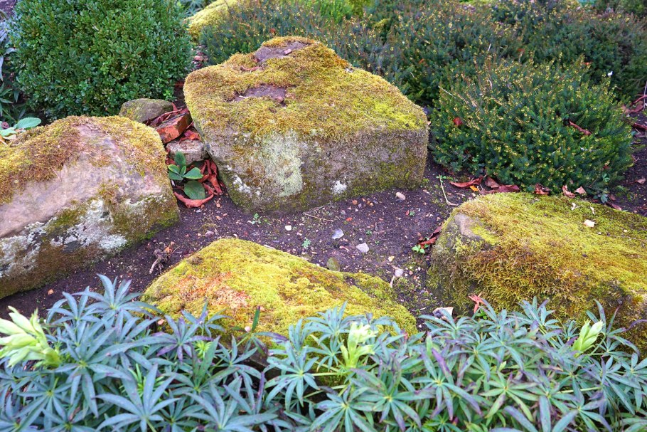 Зеленый уголок на даче