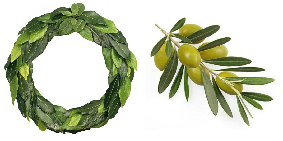 Прическа лампадион древняя Греция