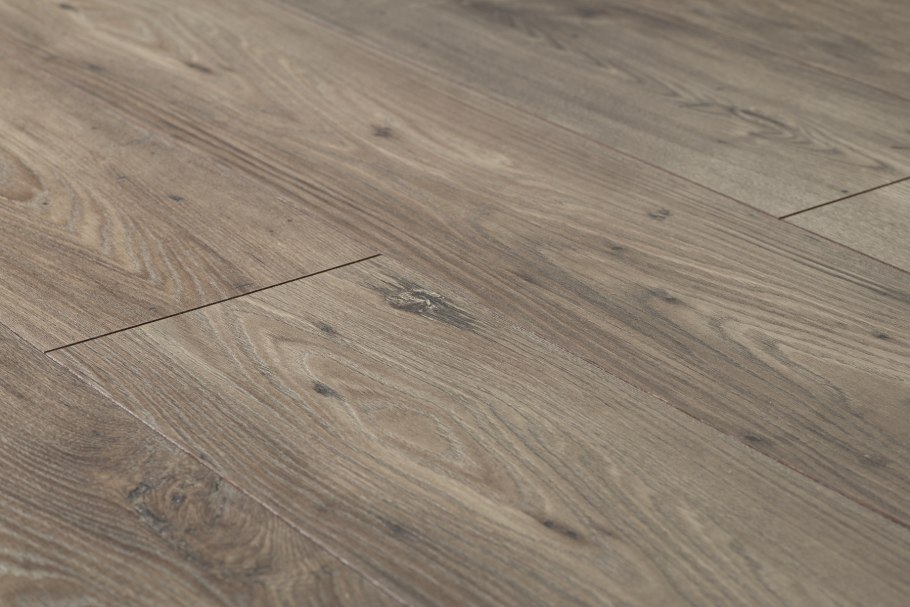 Дуб экспрессив Скиф