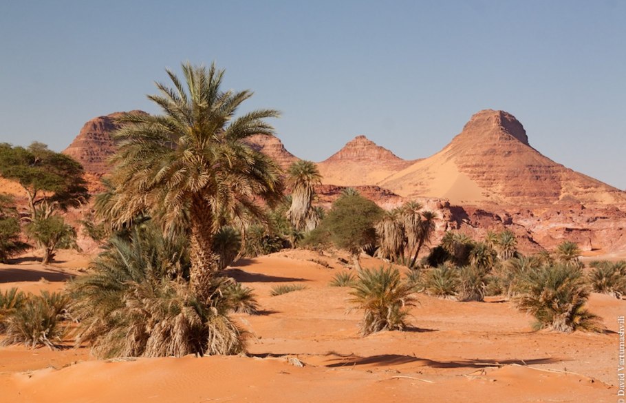 Оазис Аммона в Северной Африке