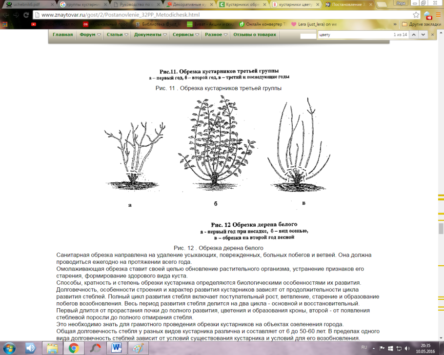 Обрезка дерена пестролистного схема
