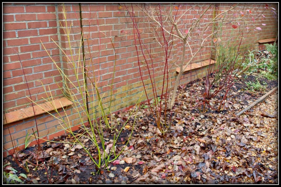 Gamakatsu Hook LS-2030b