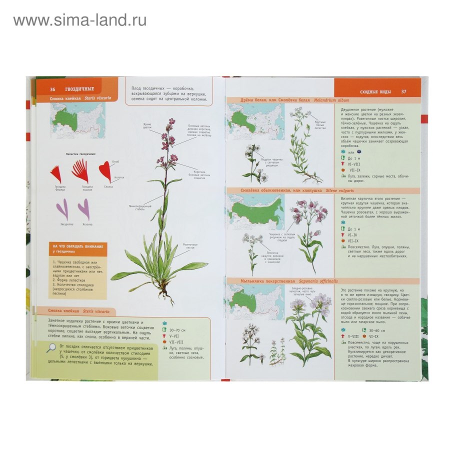 Атлас растений России