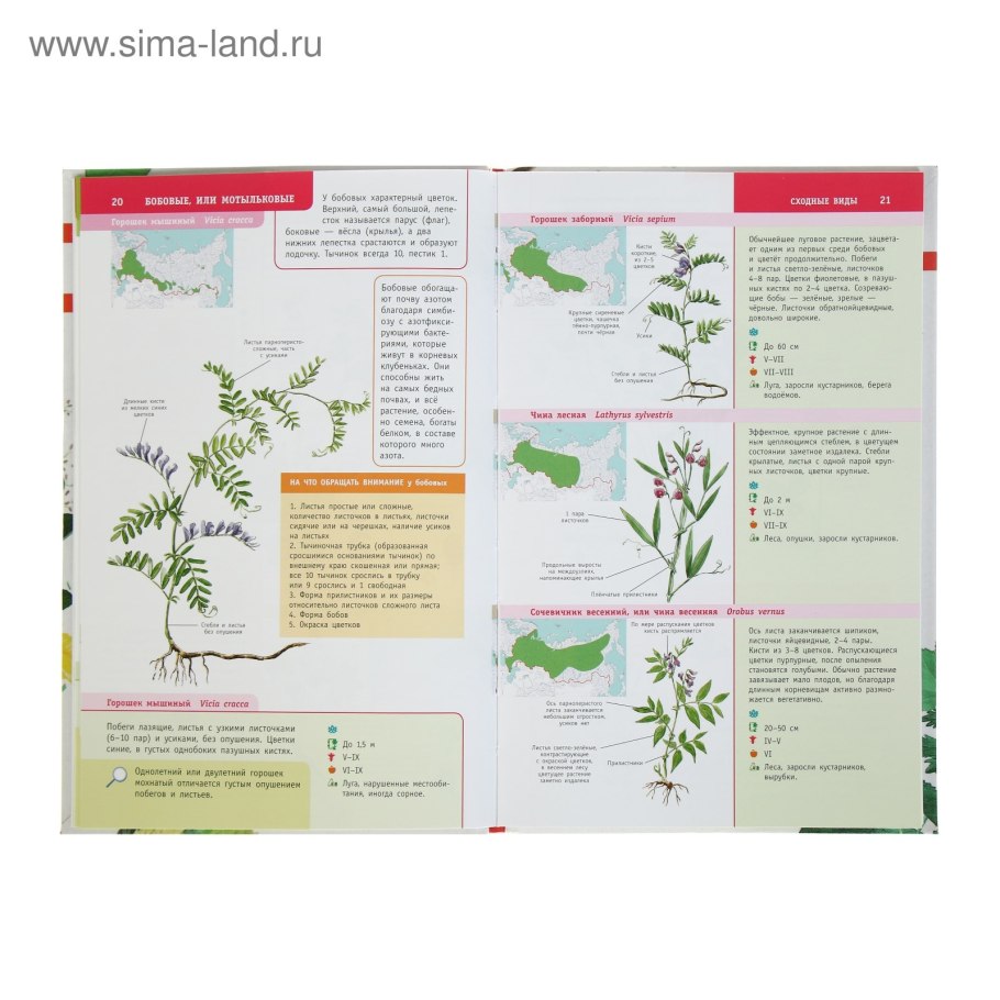 Лучший определитель растений