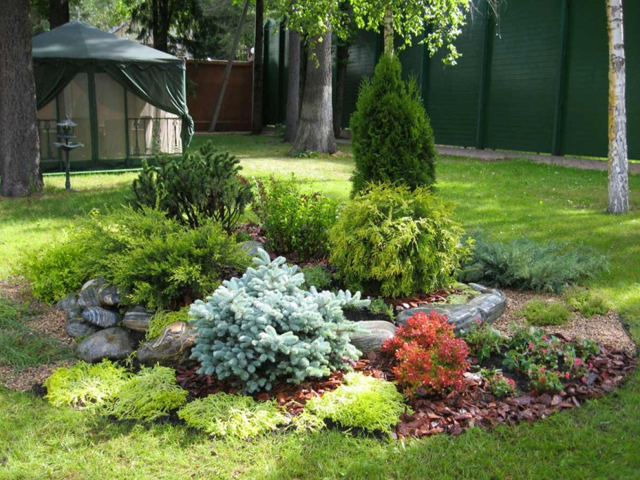 Хвойный рокарий миксбордер