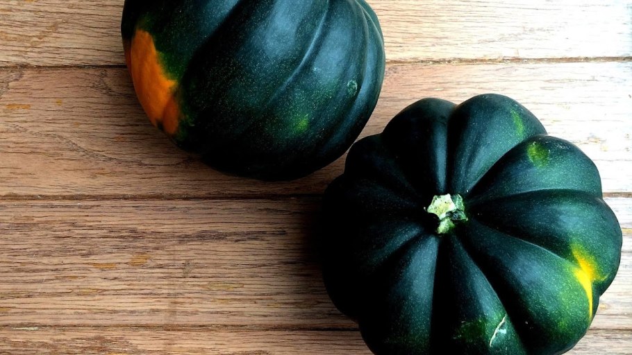 Тыква Тельма Сандерс