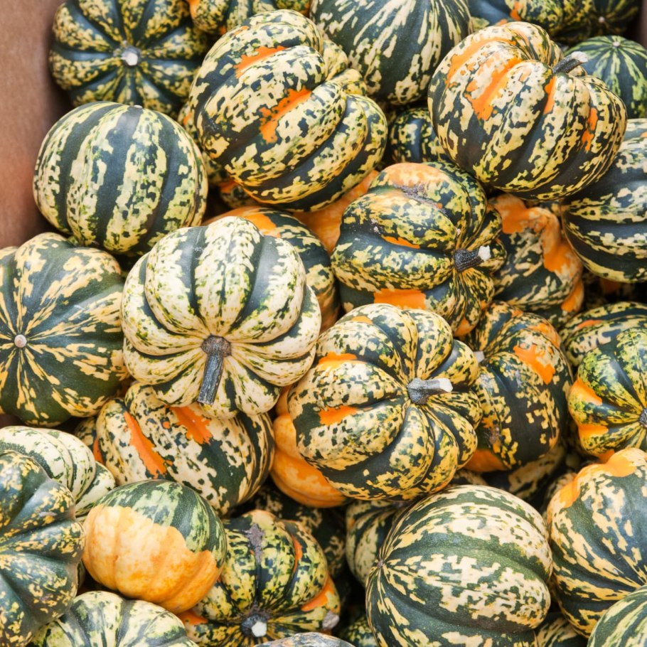 Японская тыква Кабоча