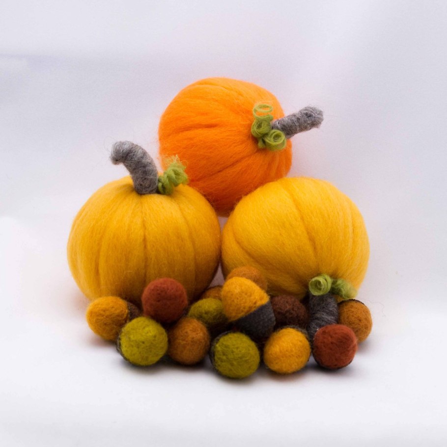 Осенняя фотосессия хризантемы и тыква