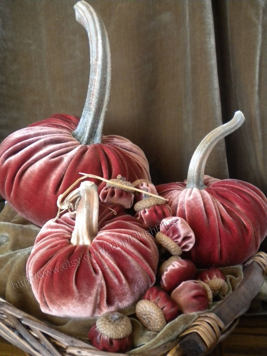 Cucurbita Pepo Squash