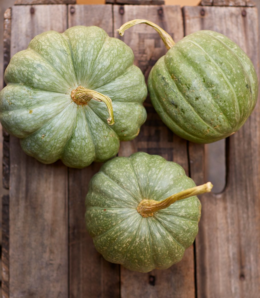 Тыква полосатая сорт Sweet Dumpling