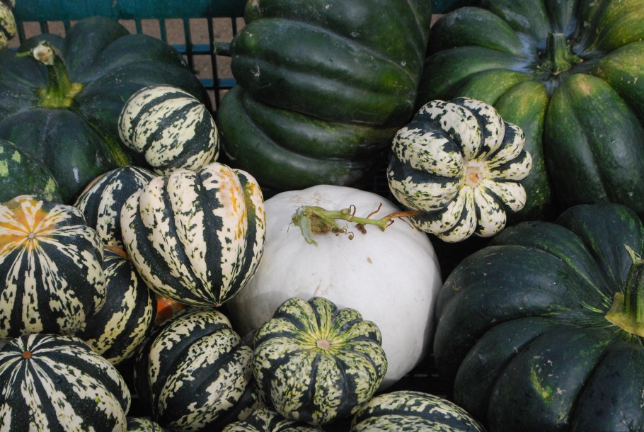 Акорн тыква семена