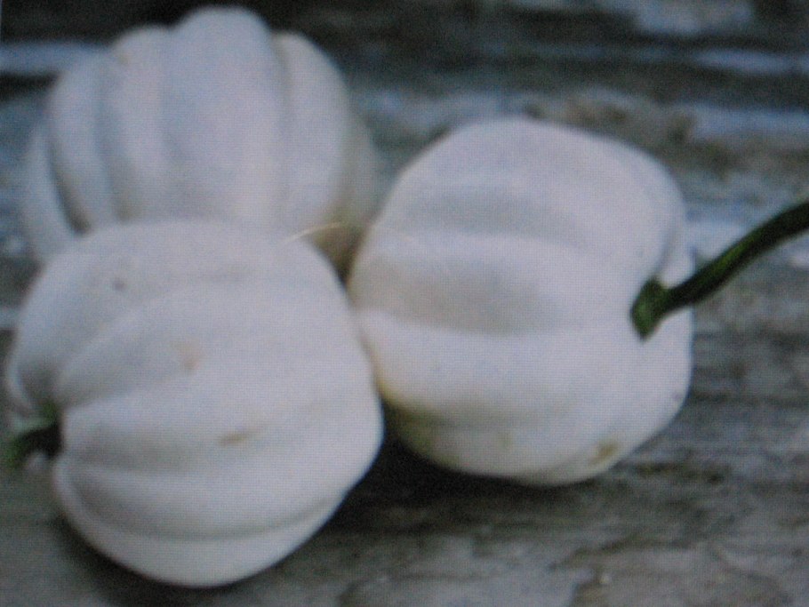 Тыква Акорн белый