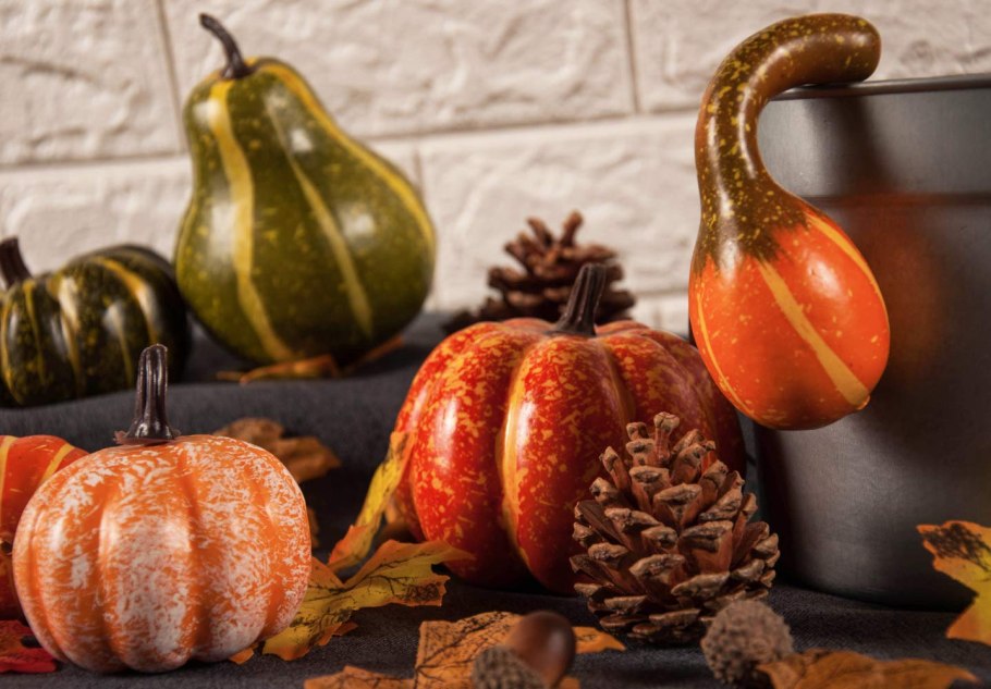 Тыква Мичуринская