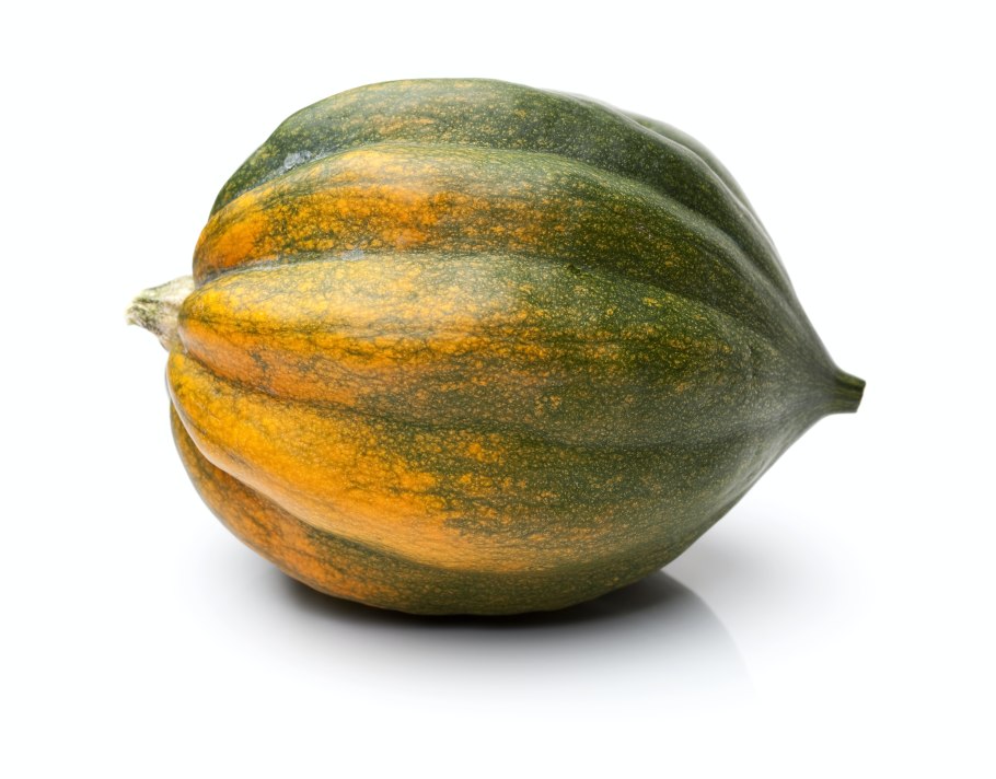 Acorn Squash