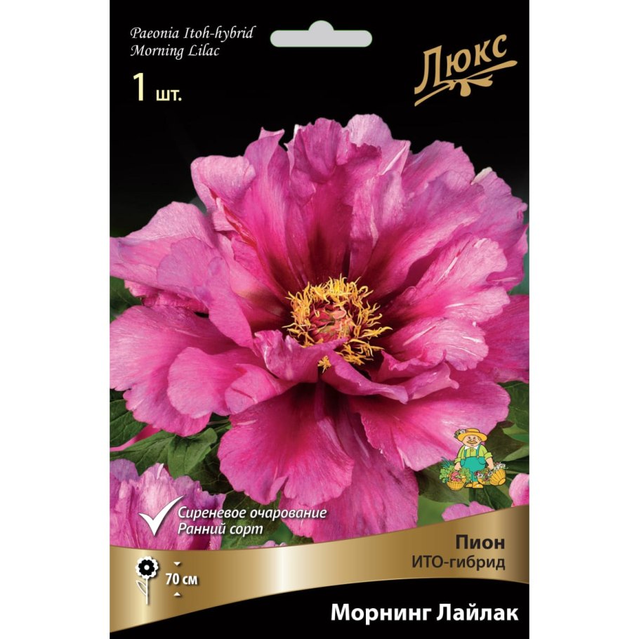 Пион Уайт кэп