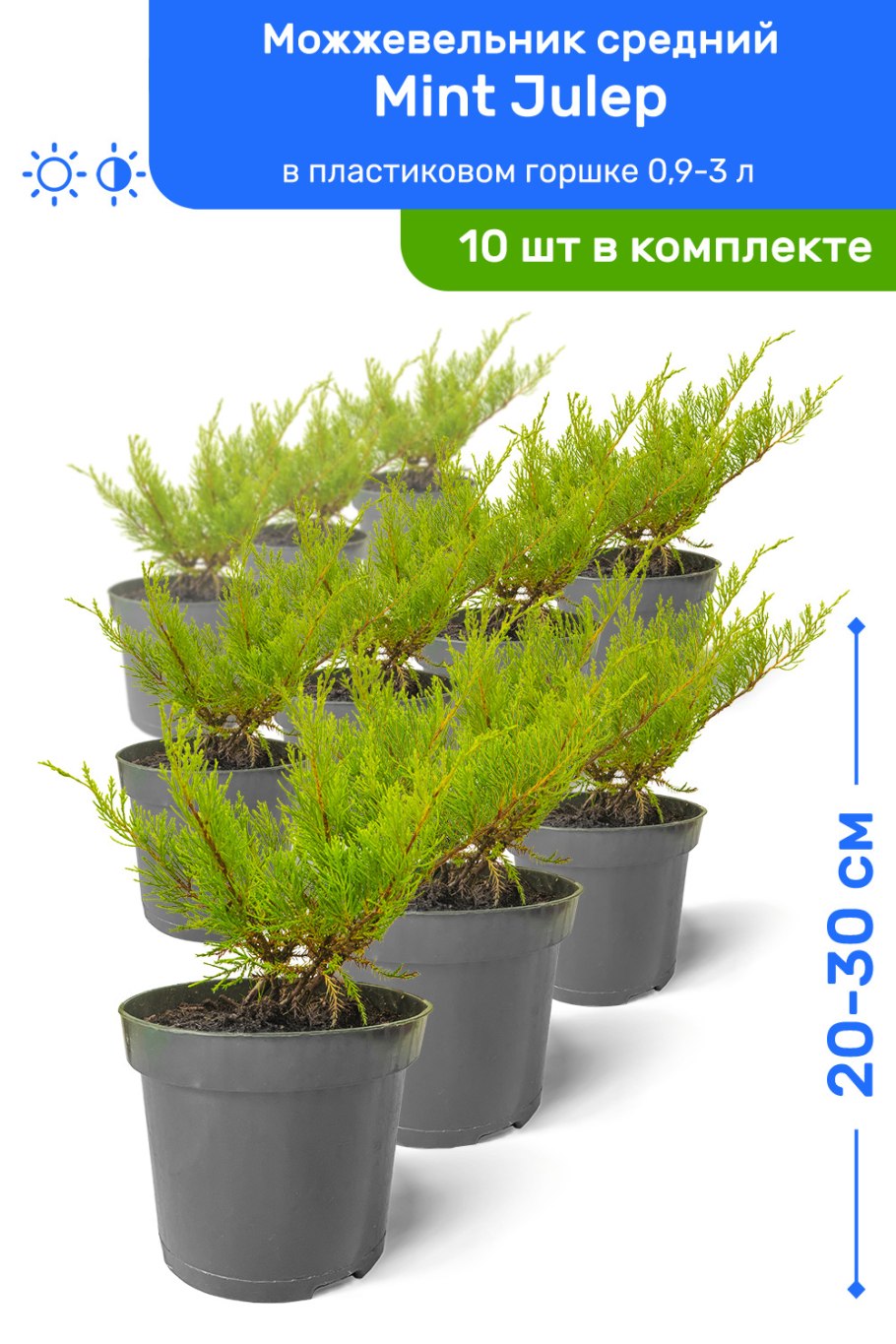 Джулеп летний