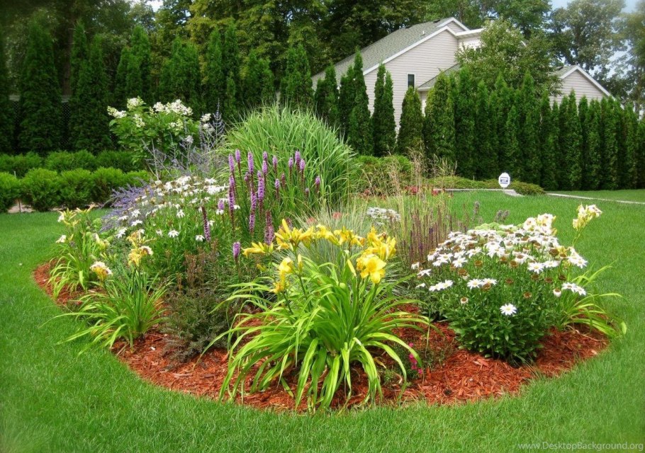 Миксбордер с лилейниками