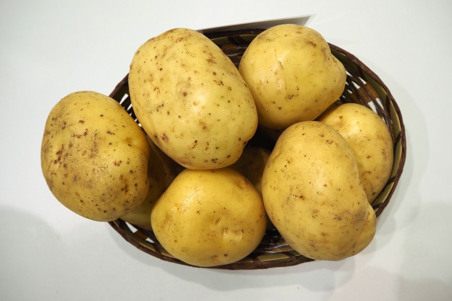 Картофель семенной Альвара