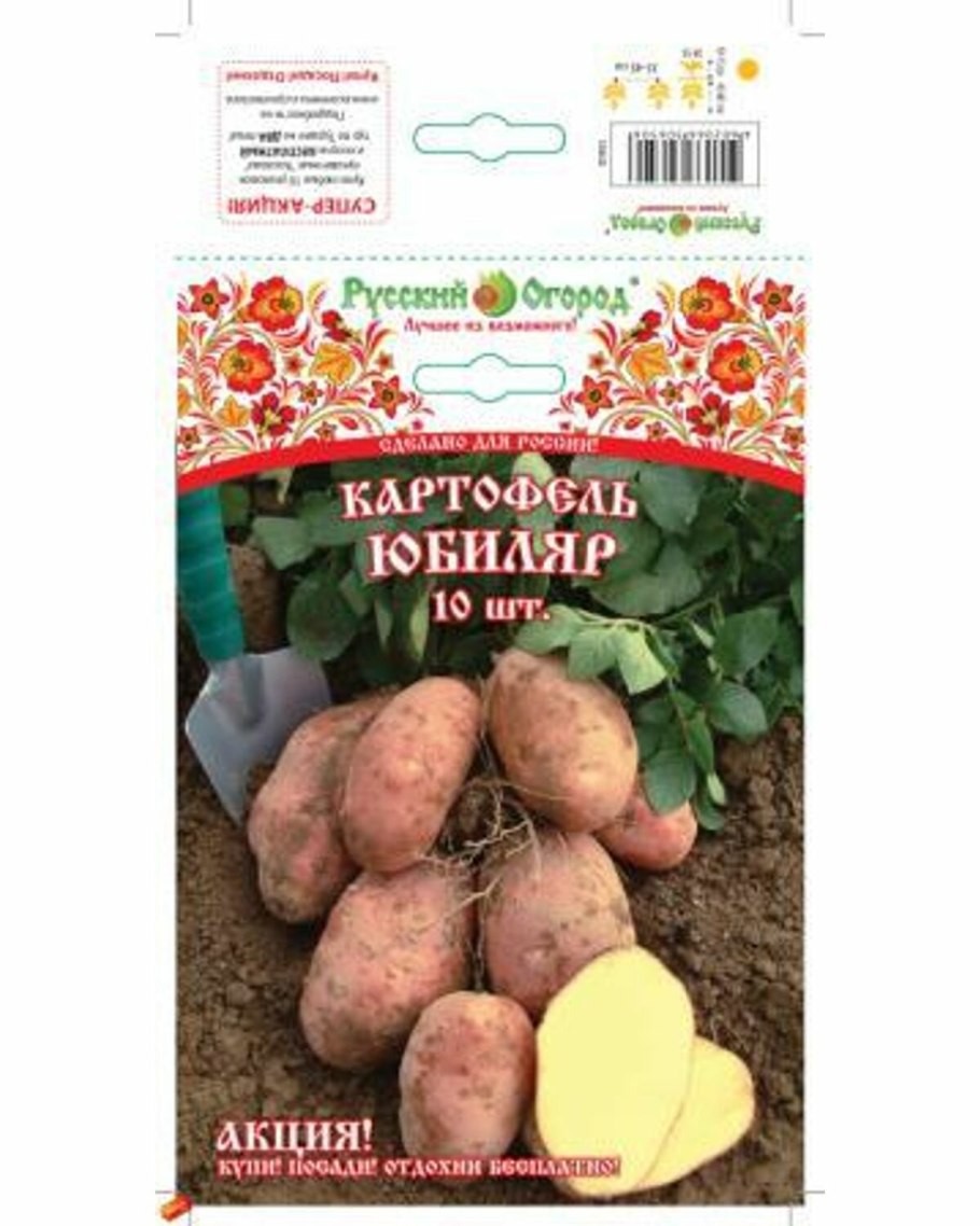 Сорт юбиляр картофель
