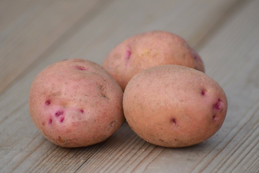 Сорт Зекура