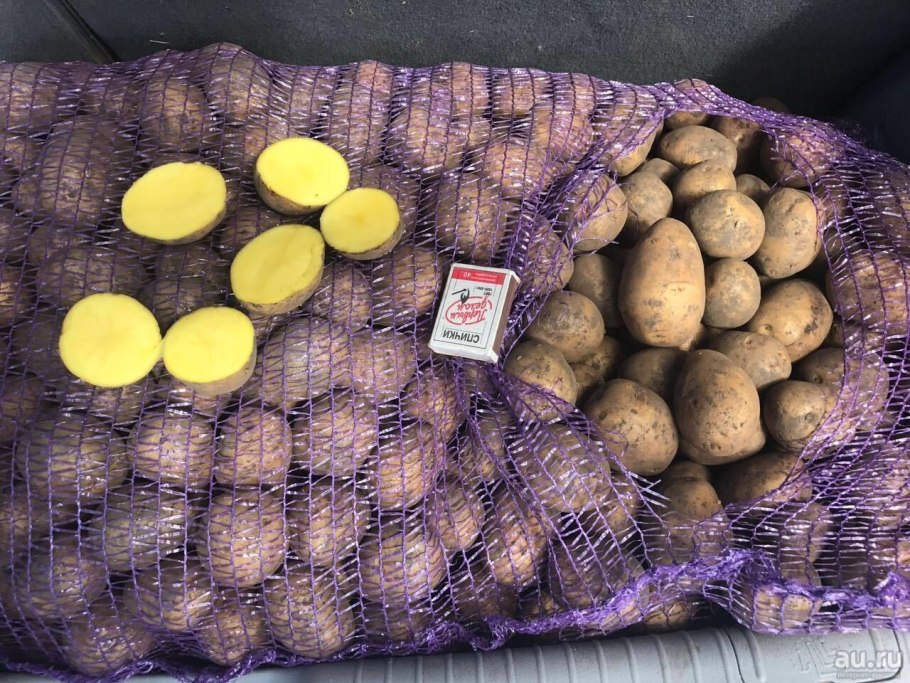 Картофель Аллегро