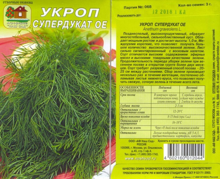 Укроп Аллигатор