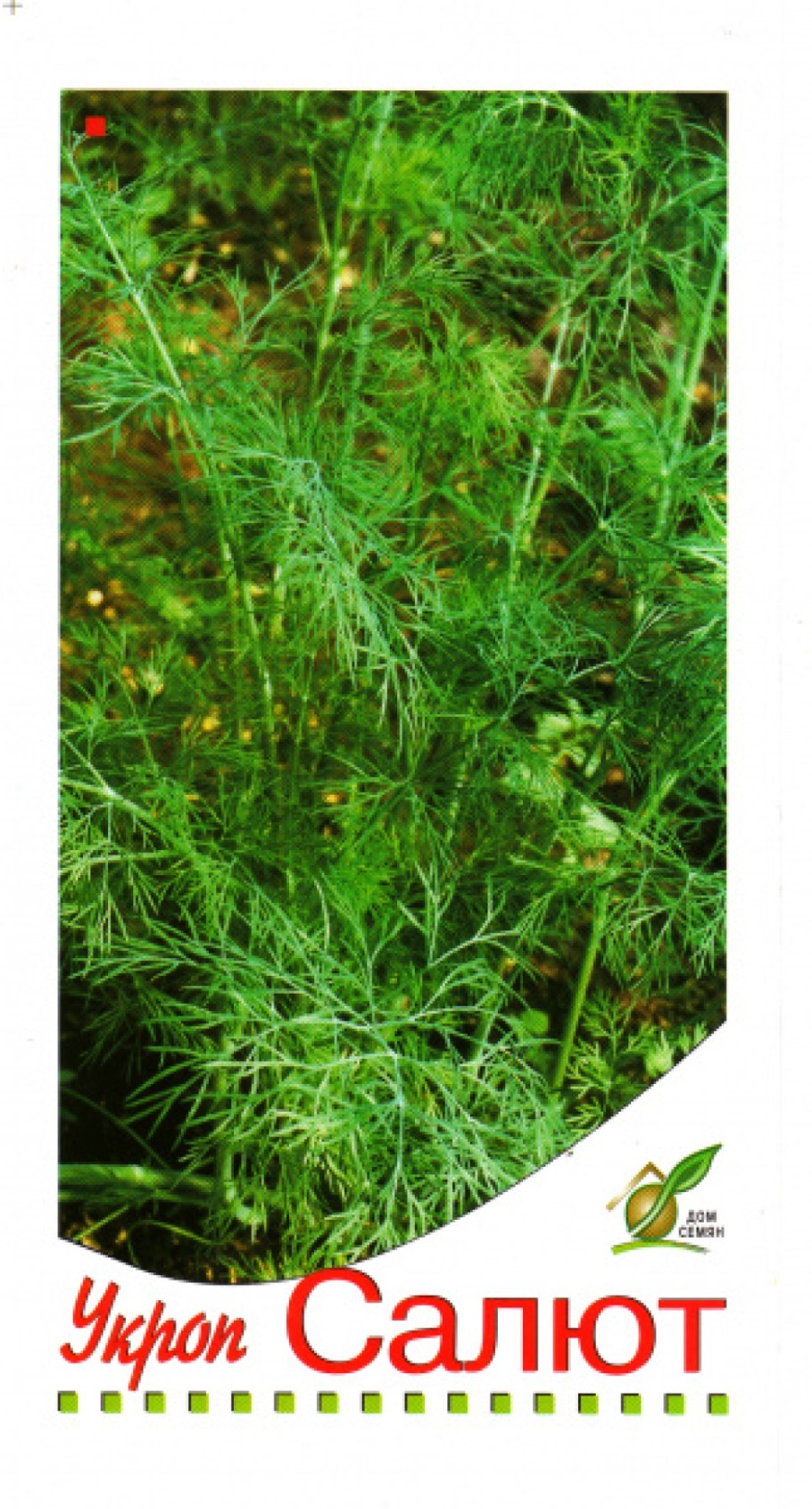 Семена укроп фейерверк