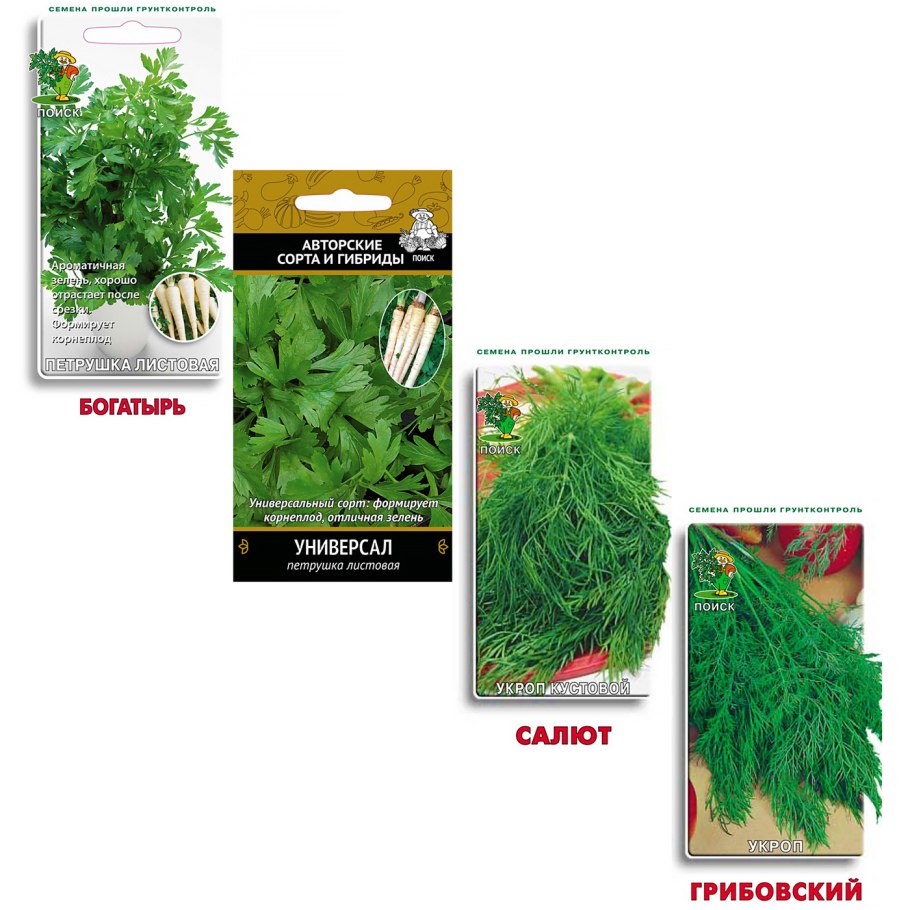 Семена "укроп салют поздний" 3г.