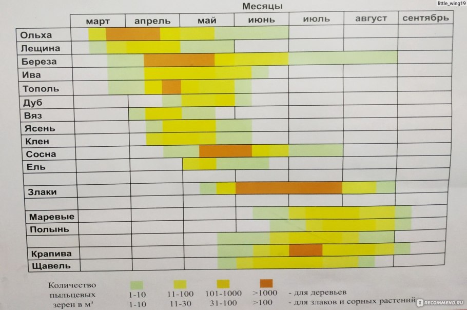 Ольха Байкальская