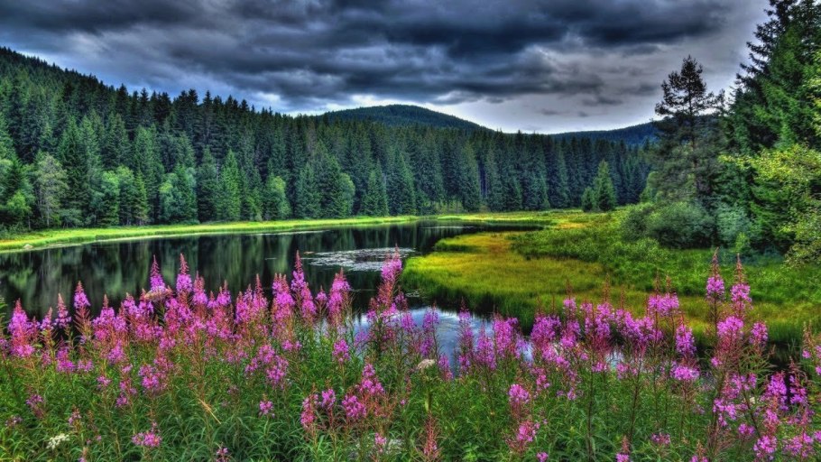 Котелок с травами