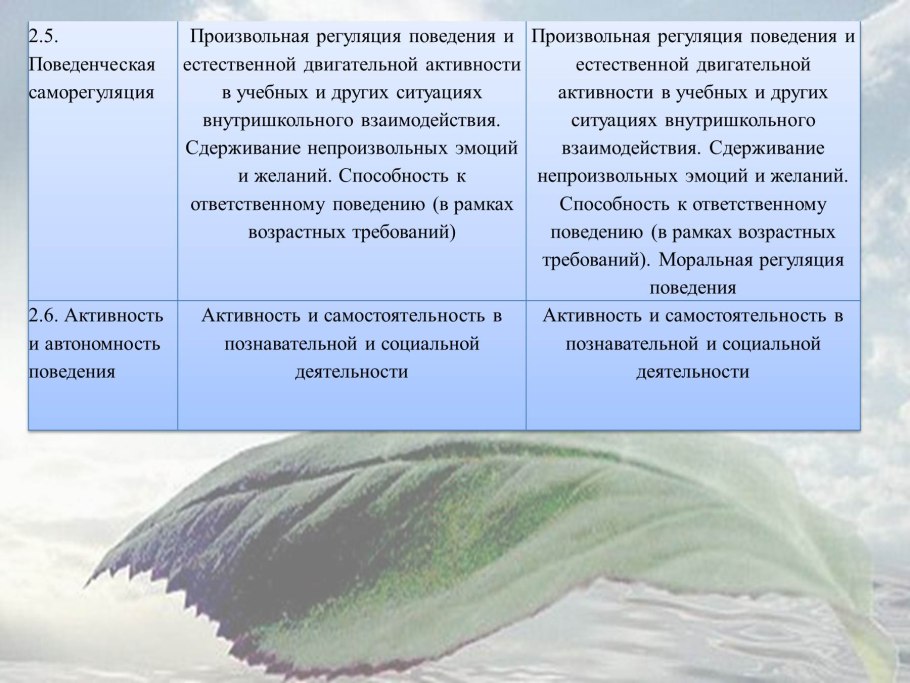 Стрелолист обыкновенный РАЗНОЛИСТНОСТЬ