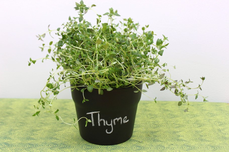 Тимьян Thyme simply Herbs