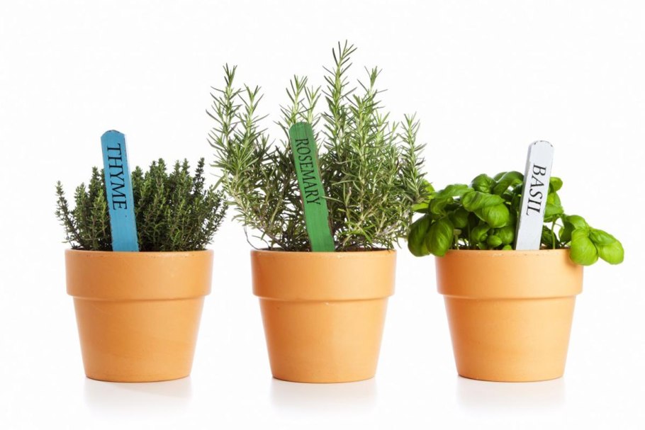 Базилик тимьян петрушка