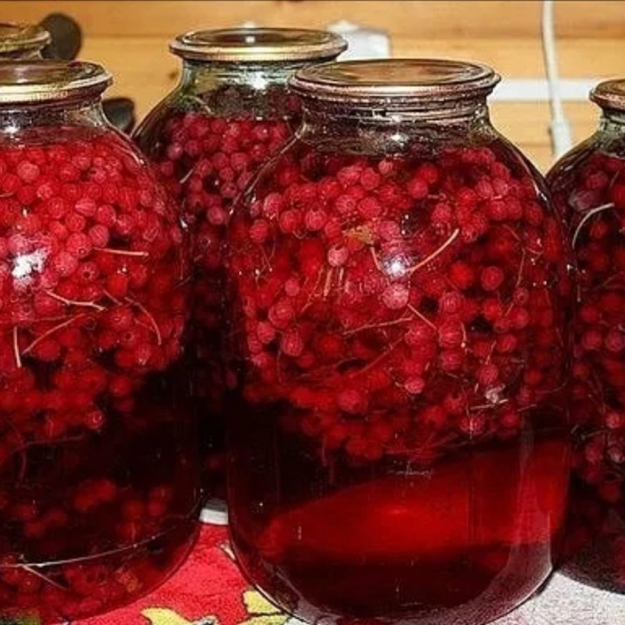 Красносмородиновый компот