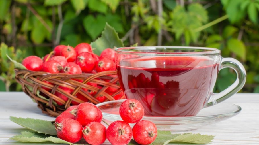 Шиповник ягоды