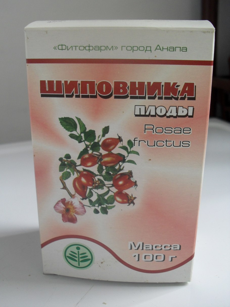 Шиповник Даурский плоды